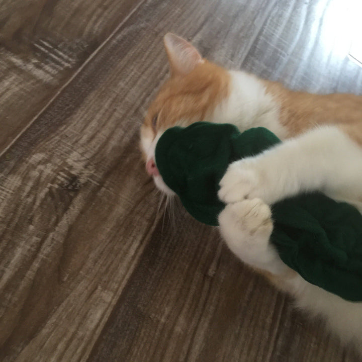 Crunchy Kitty Kale