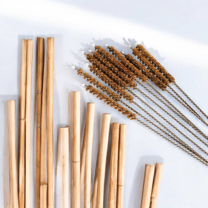 Straw Cleaner - Coconut Fiber