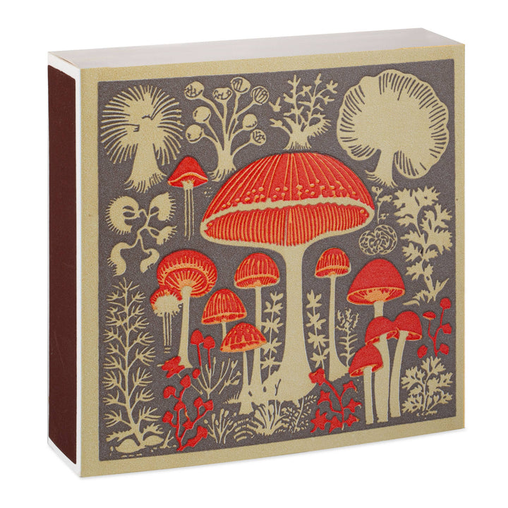 Mushrooms Matchbox
