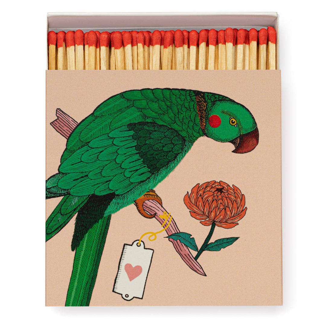 Ariane Parrot - Safety Matches