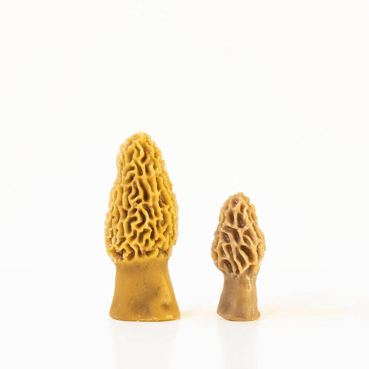 Morel Mushroom Beeswax Candle 2-pack