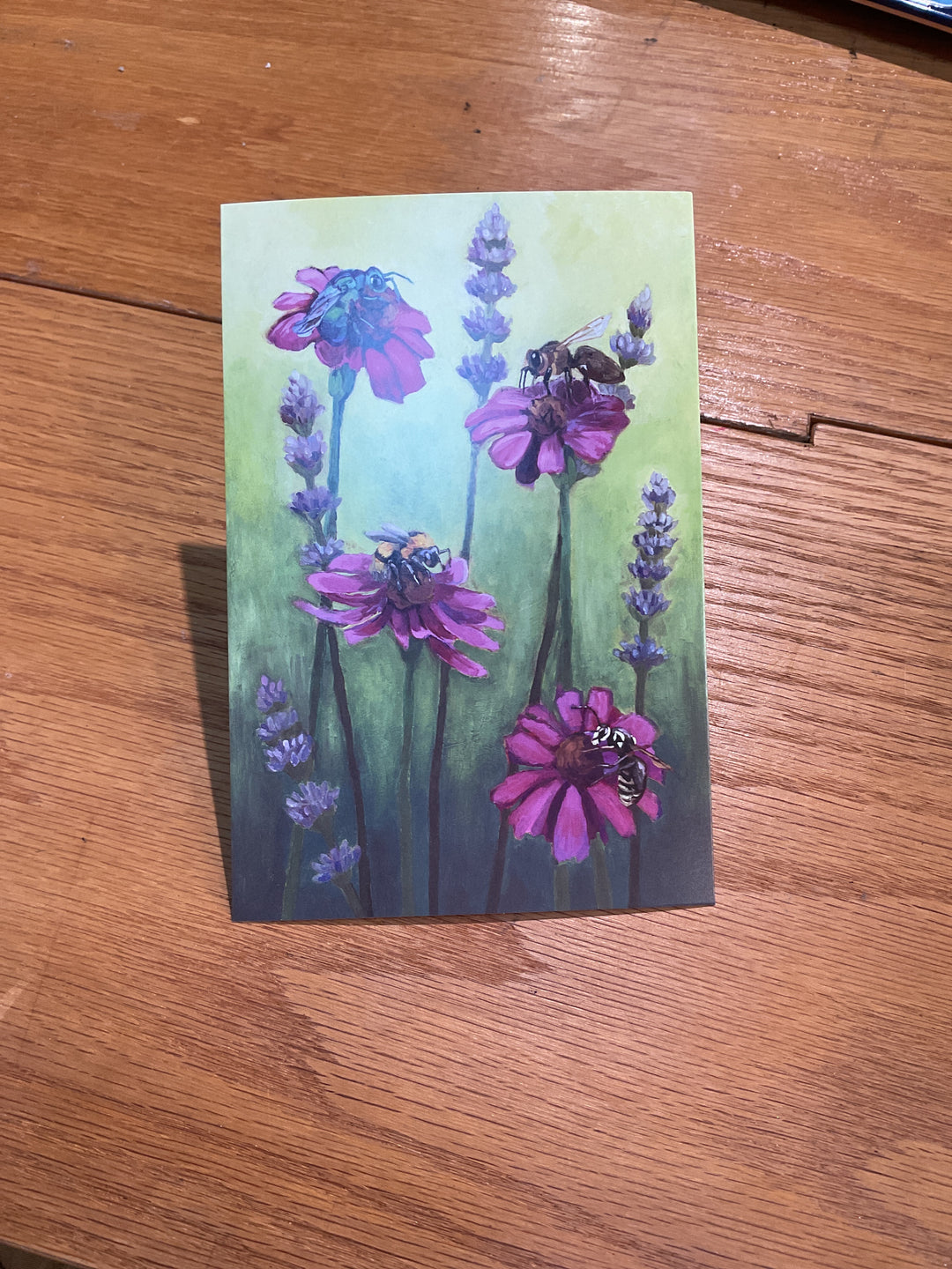 Bee's Hand Drawn Postcards