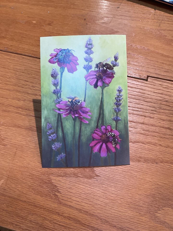 Bee's Hand Drawn Postcards
