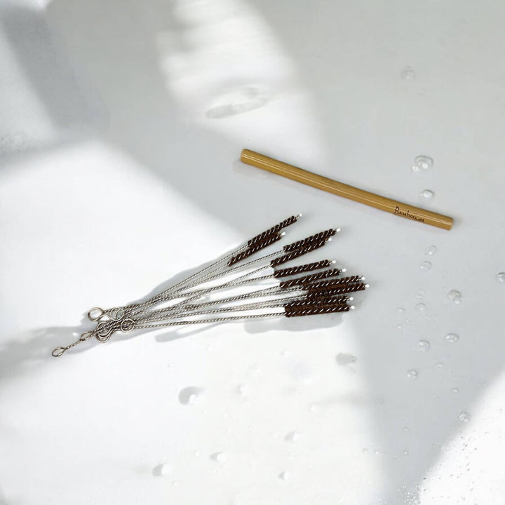 Straw Cleaner - Coconut Fiber