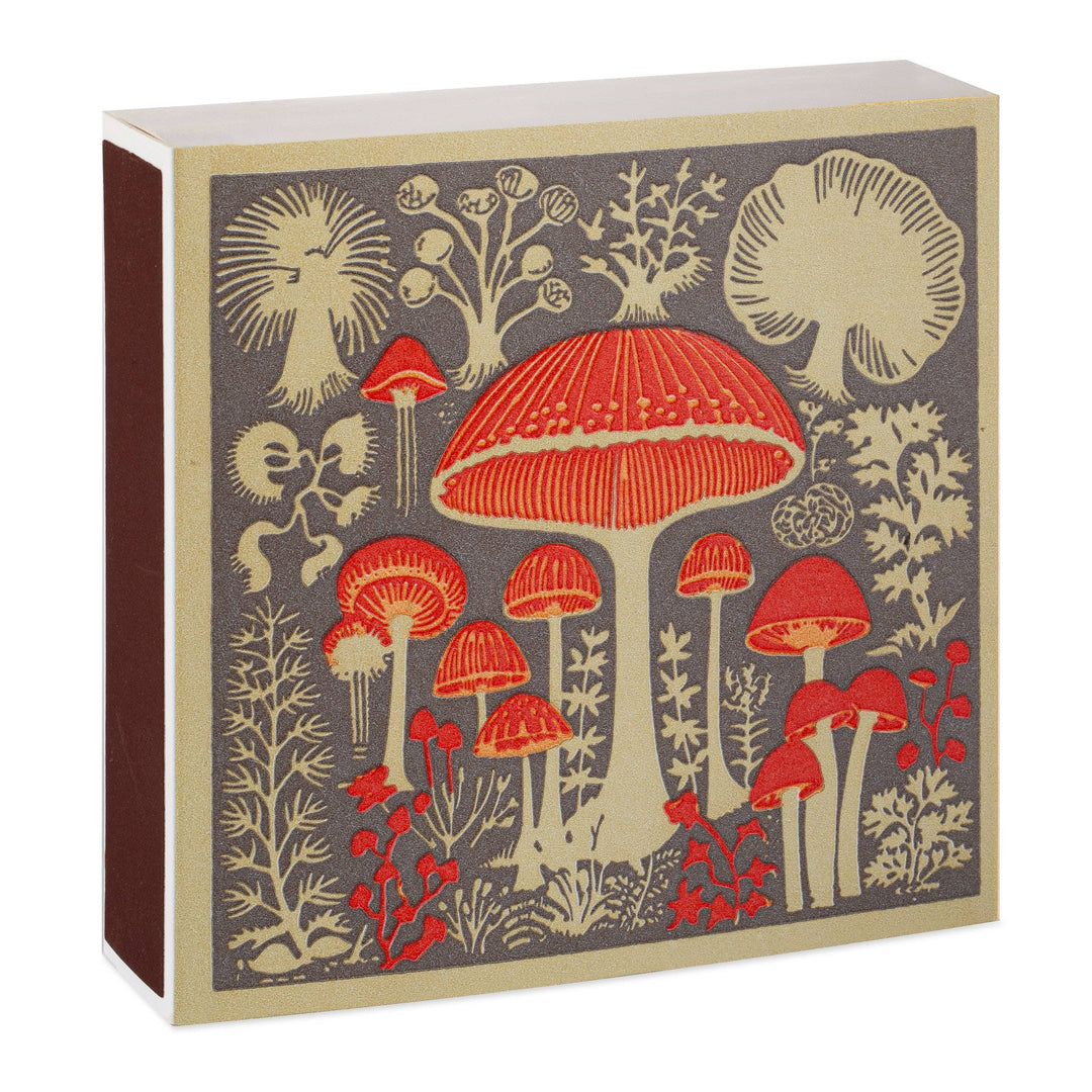 Mushrooms Matchbox