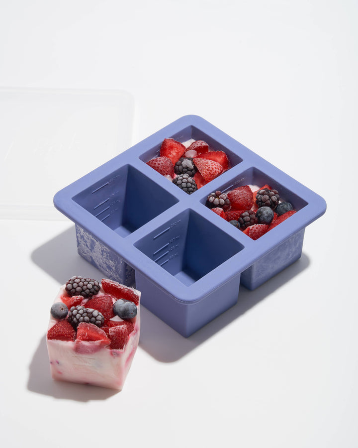 Silicone Food Storage Meal Prep - 6 cube