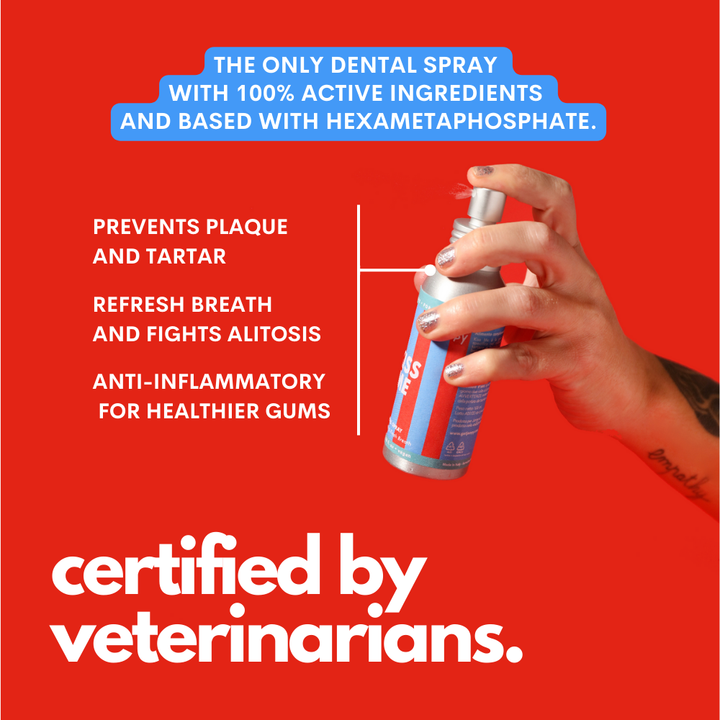 Kiss Me - Natural Dental Spray to Fight Halitosis for Dogs