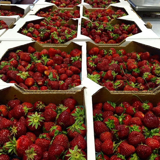Award Winner - Strawberry & Pink Champagne Preserves