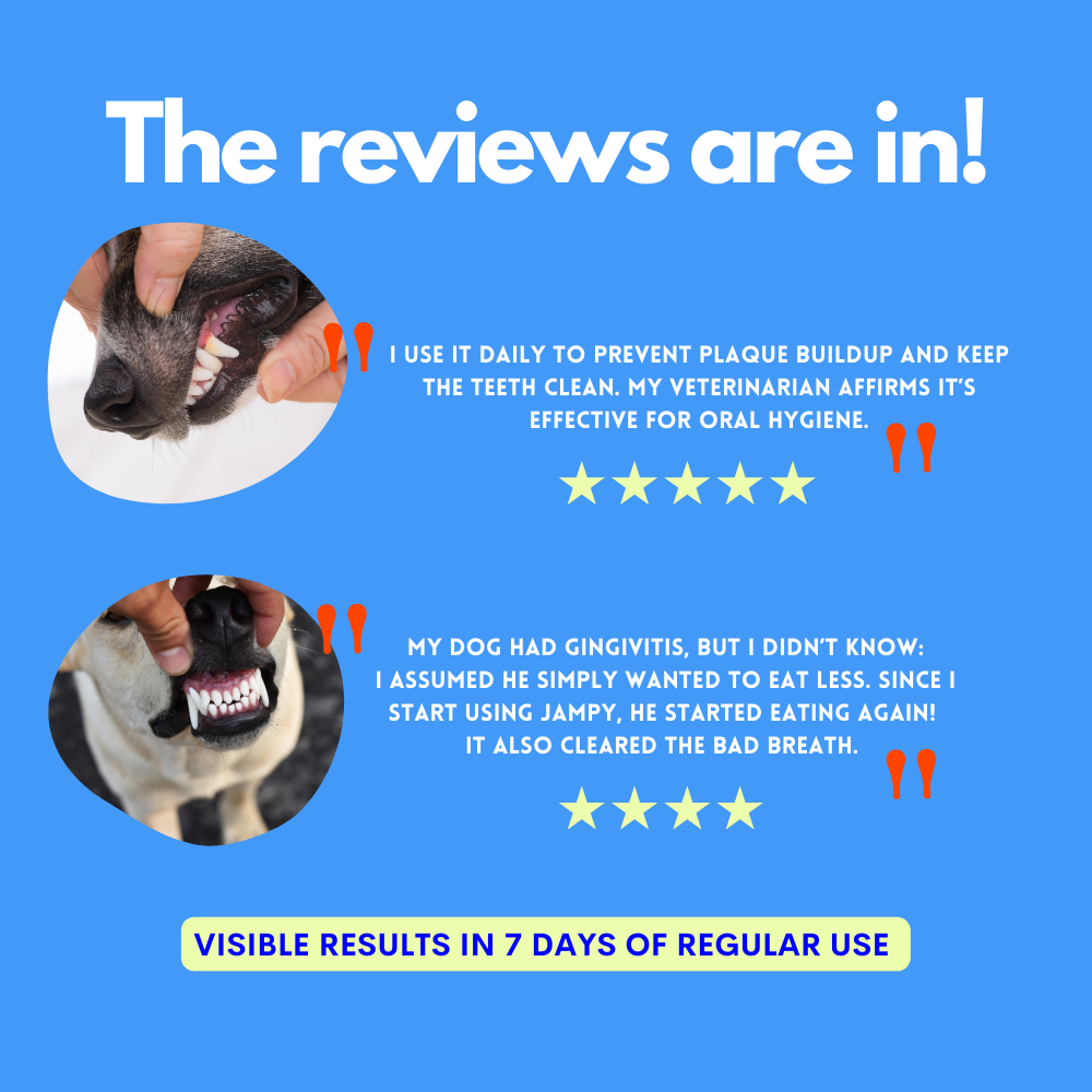Kiss Me - Natural Dental Spray to Fight Halitosis for Dogs