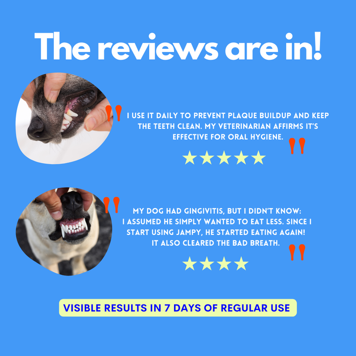Kiss Me - Natural Dental Spray to Fight Halitosis for Dogs