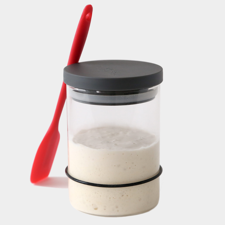 Breadtopia Sourdough Starter Kit with Jar and Tools