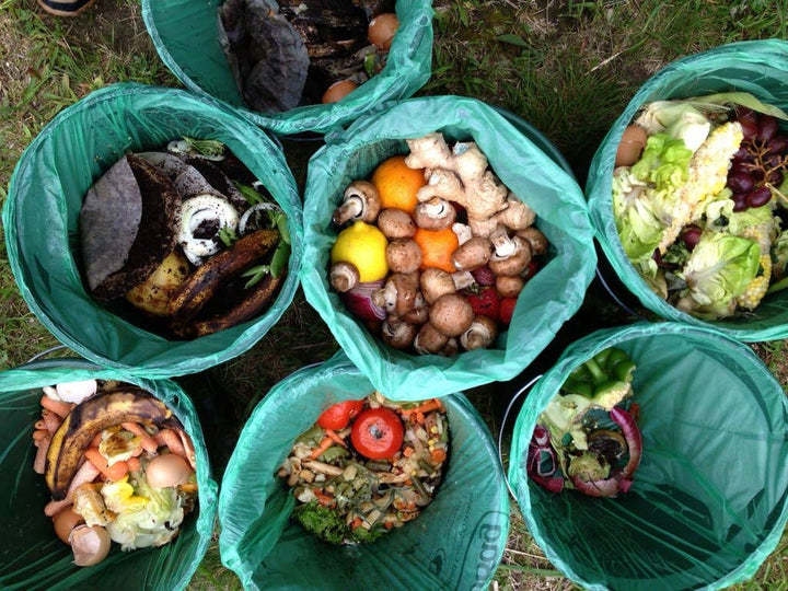 Compostable Trash Bags