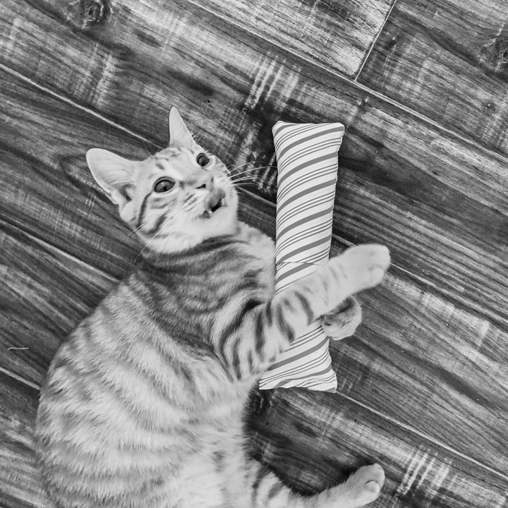 Cheshire and Alice Organic Catnip Cat Kicker