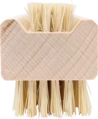 Simple Nail Brush