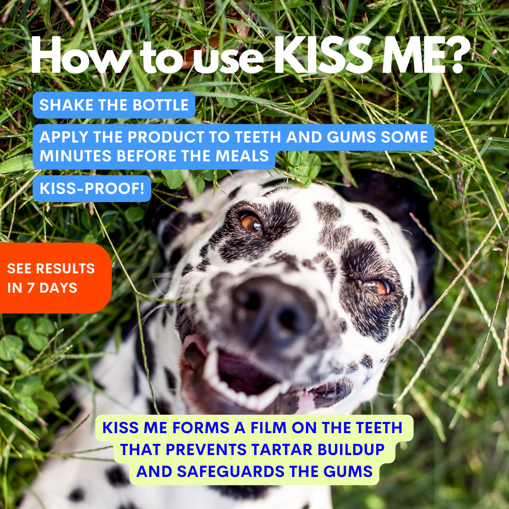 Kiss Me - Natural Dental Spray to Fight Halitosis for Dogs