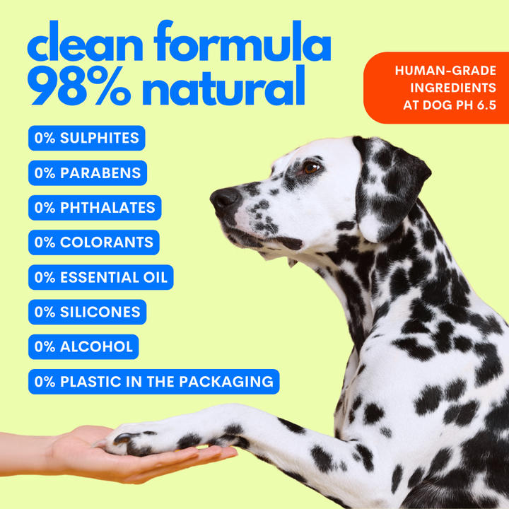 Hypoallergenic Dog Shampoo & Conditioner
