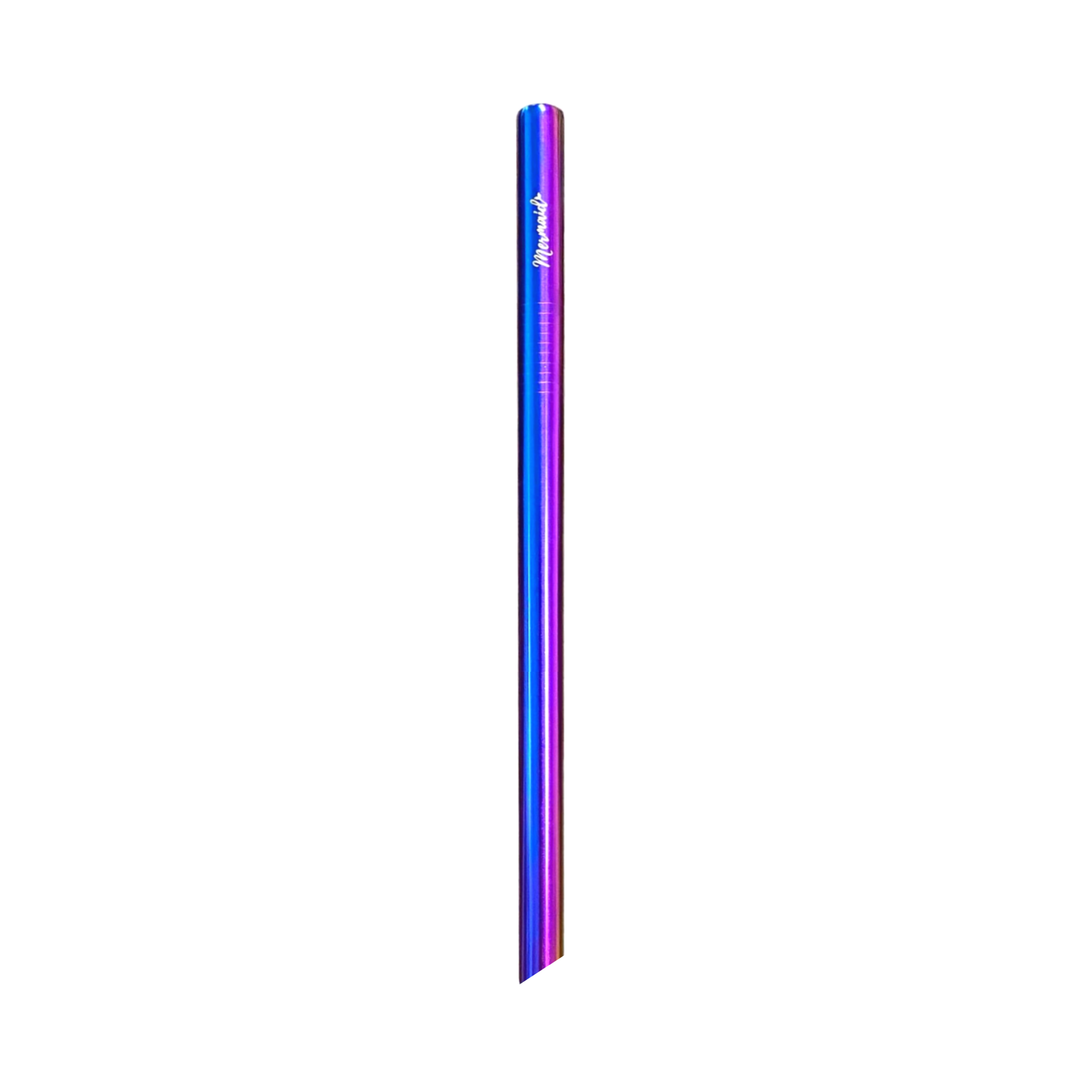 Smoothie & Bobba Stainless Steel Straw