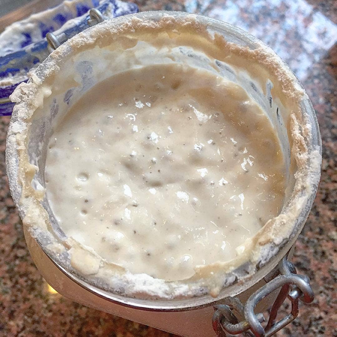 Breadtopia Dehydrated Sourdough Starter Culture