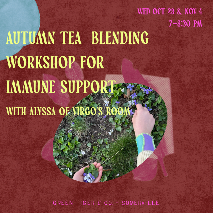 Autumn Tea Blending Workshop for Immune Support