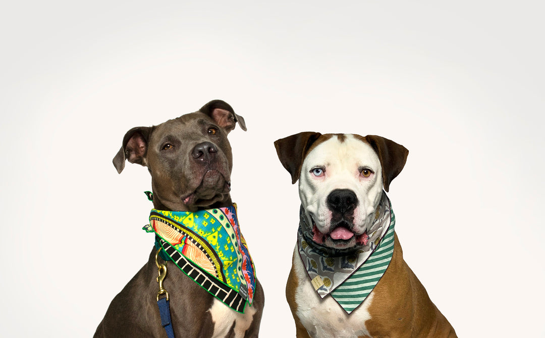 Dog Bandana Assorted Patterns