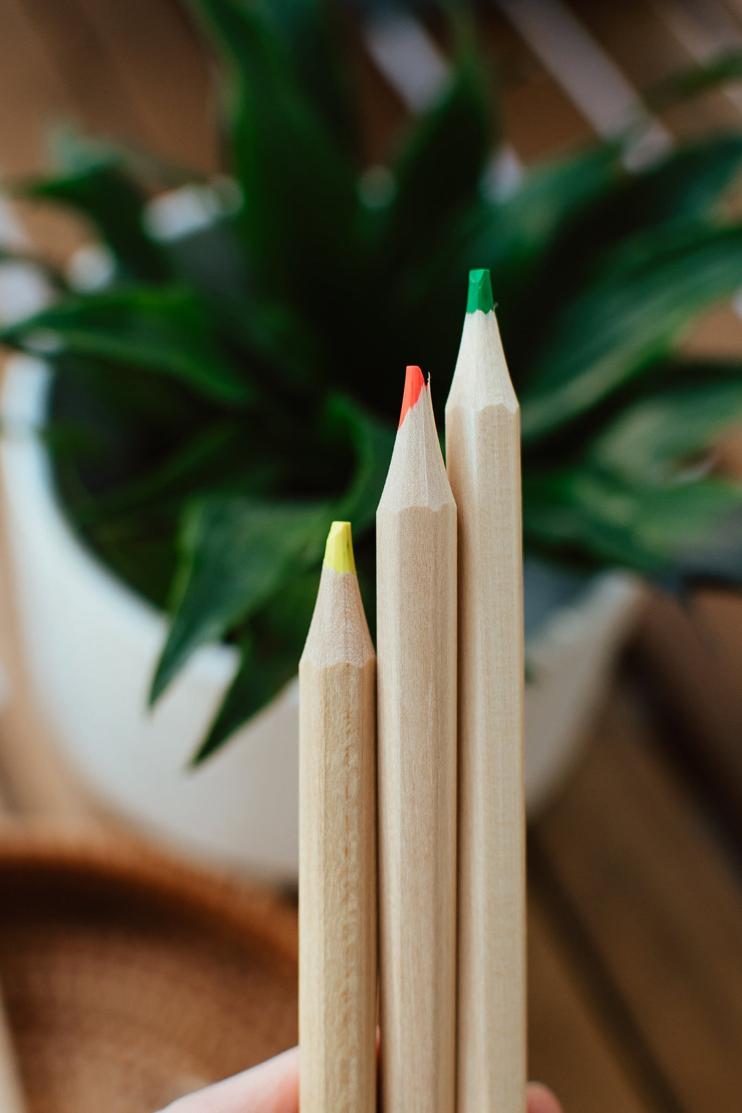 Highlighter Pencils