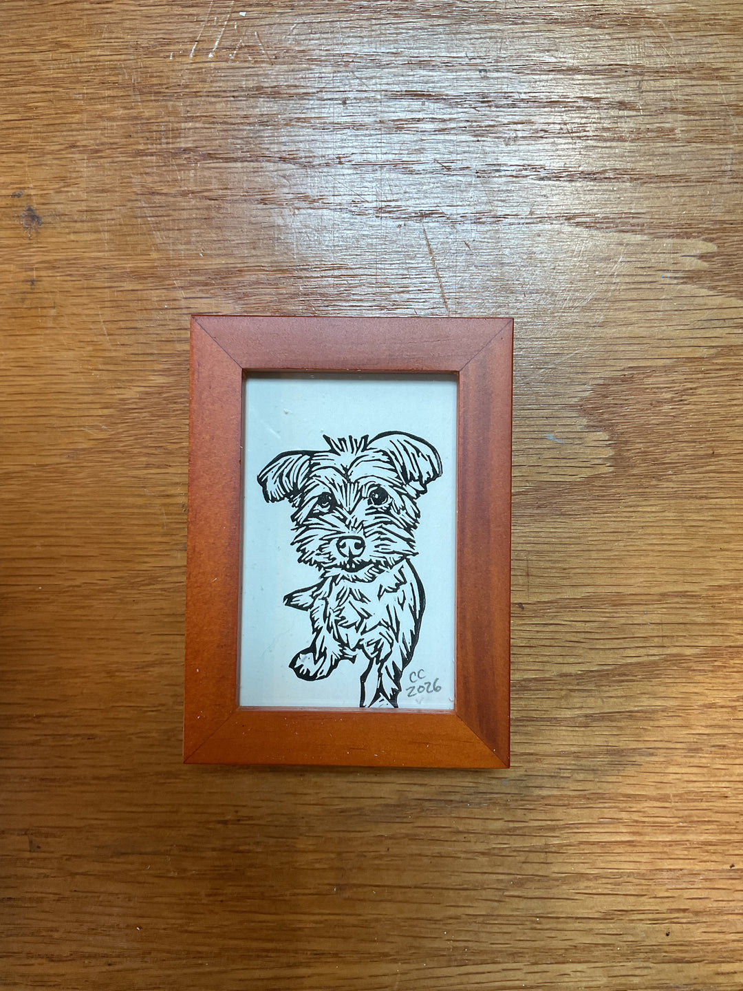 Mini Terrier Tramp