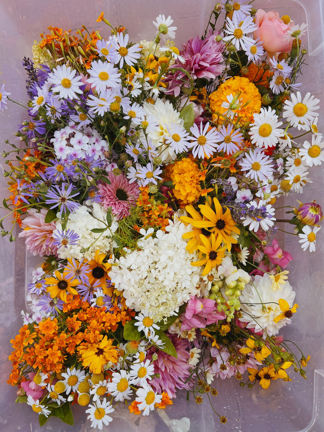 Flower Power Supporter