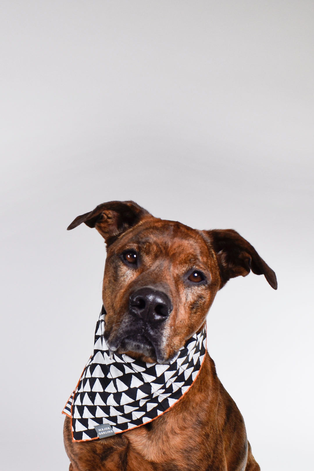 Dog Bandana Assorted Patterns