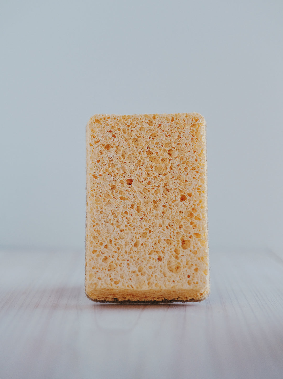 Natural Dish Sponge/ Scouring Pad