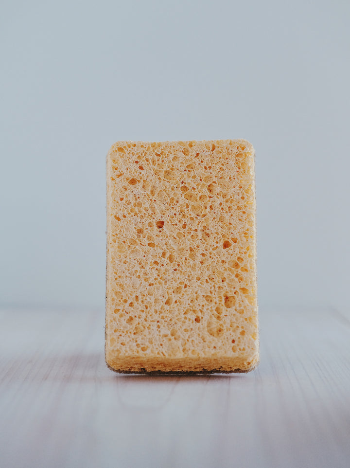 Natural Dish Sponge/ Scouring Pad