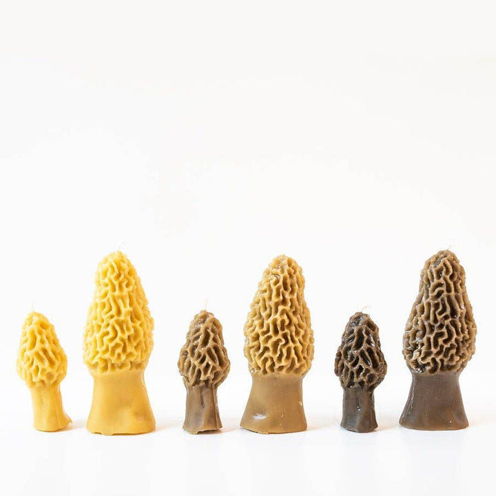 Morel Mushroom Beeswax Candle 2-pack