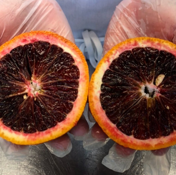 Marmalades - Blood Orange