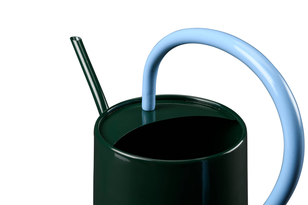 Collector Scalloped Indoor Watering Can