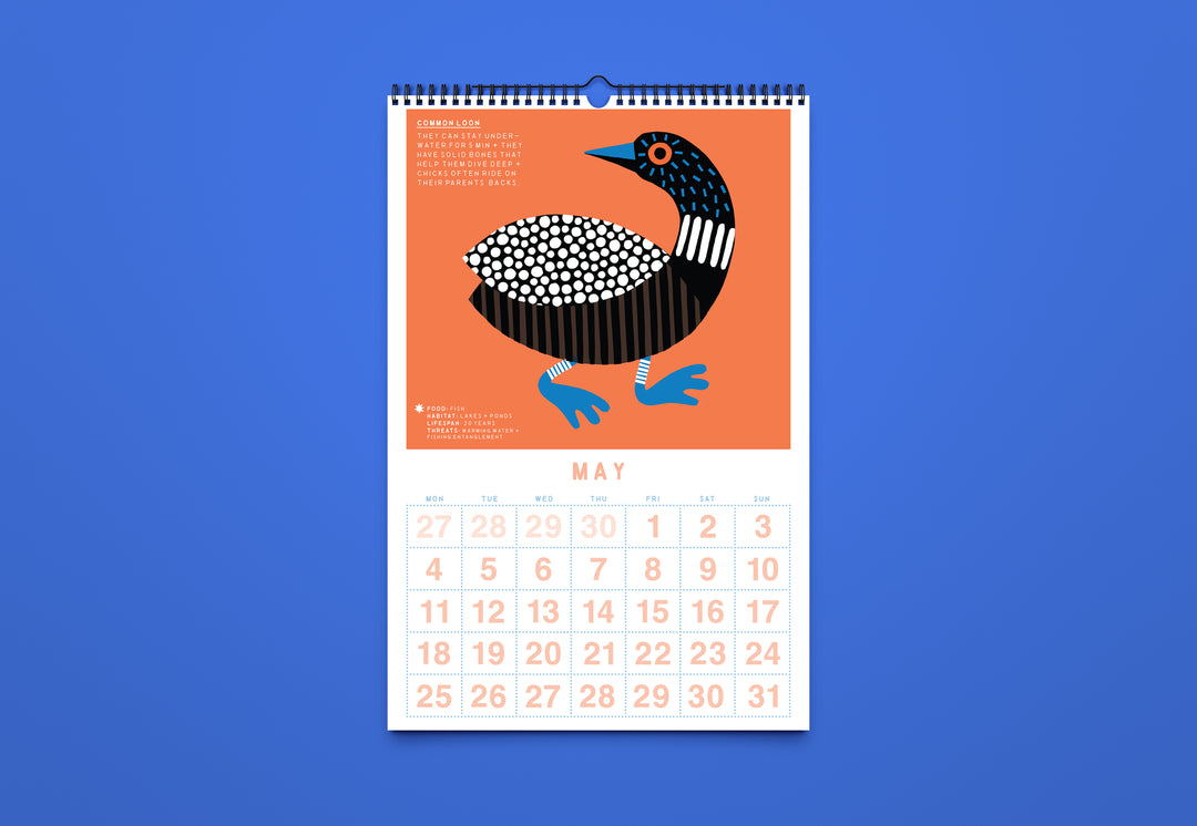 2027 Bird Calendar by Karla Ferrara