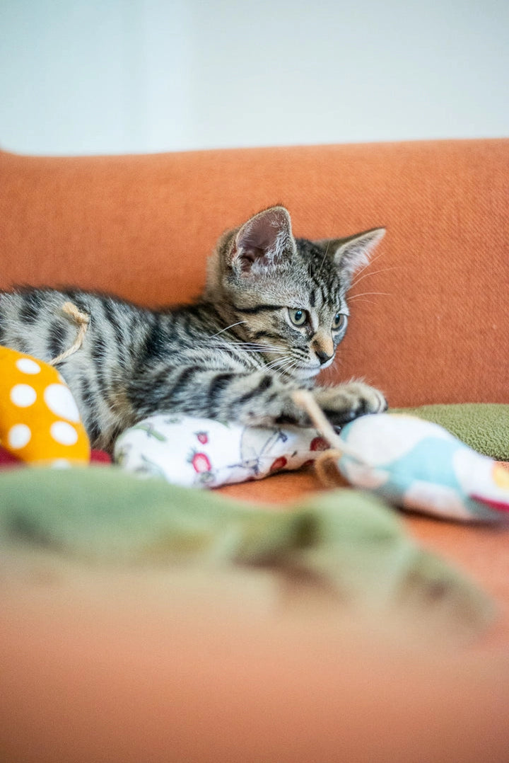 Planet B, Inc. Scrap Fabric Cat Toys