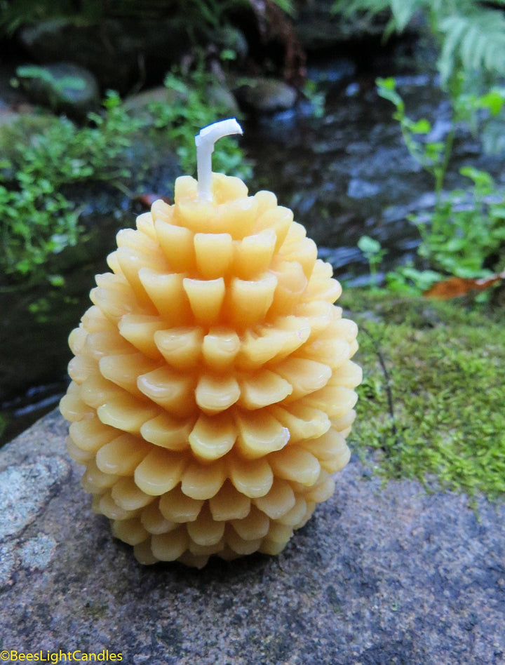 Beeswax Pine Cone Candle