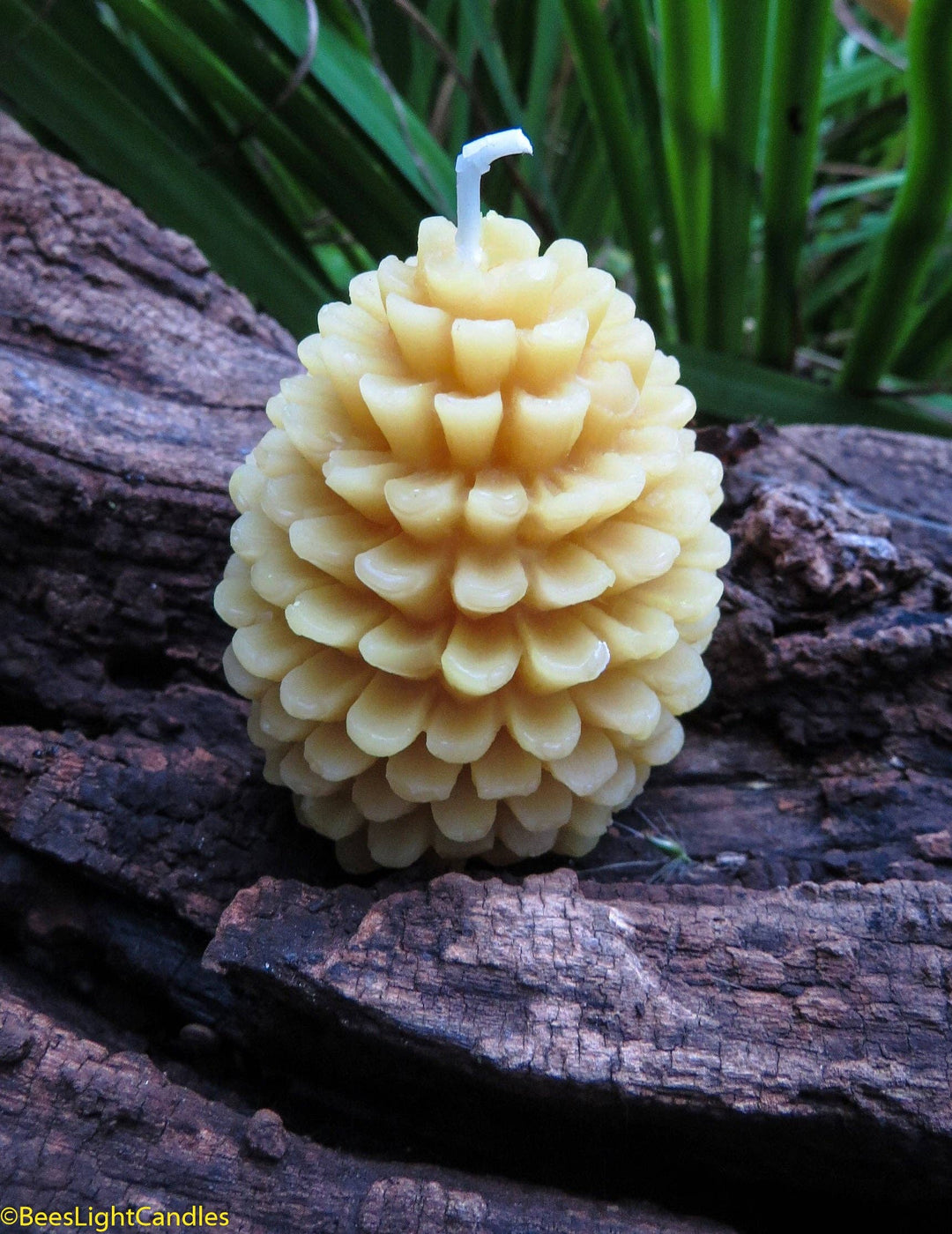 Beeswax Pine Cone Candle