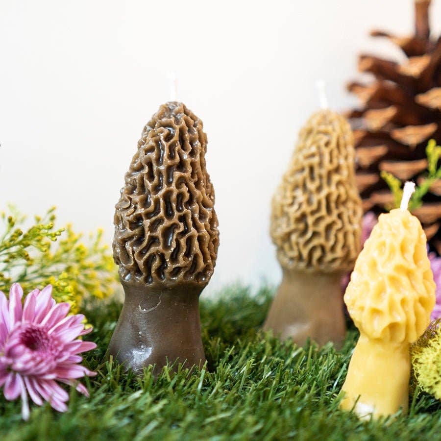 Morel Mushroom Beeswax Candle 2-pack