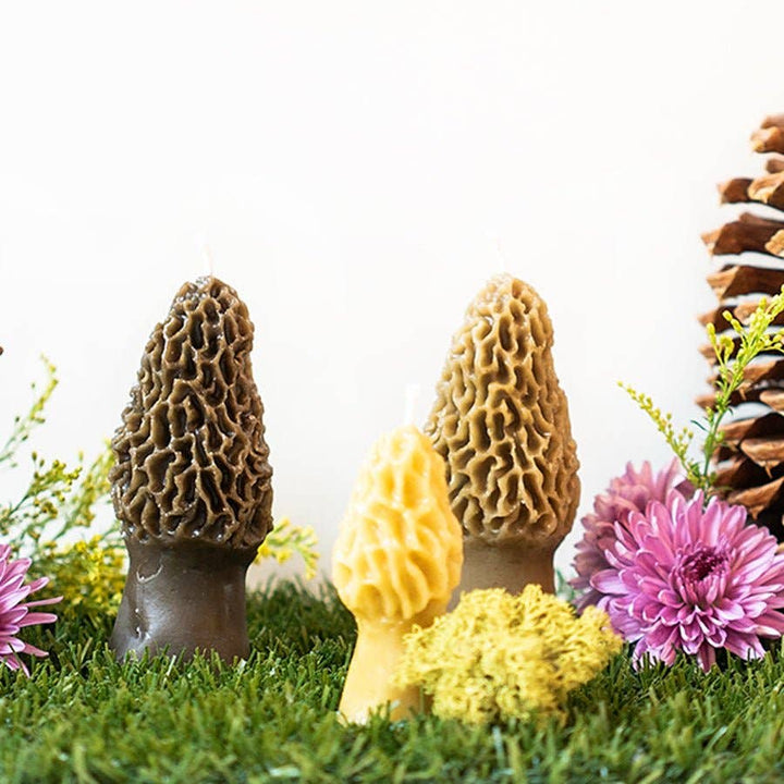 Morel Mushroom Beeswax Candle 2-pack