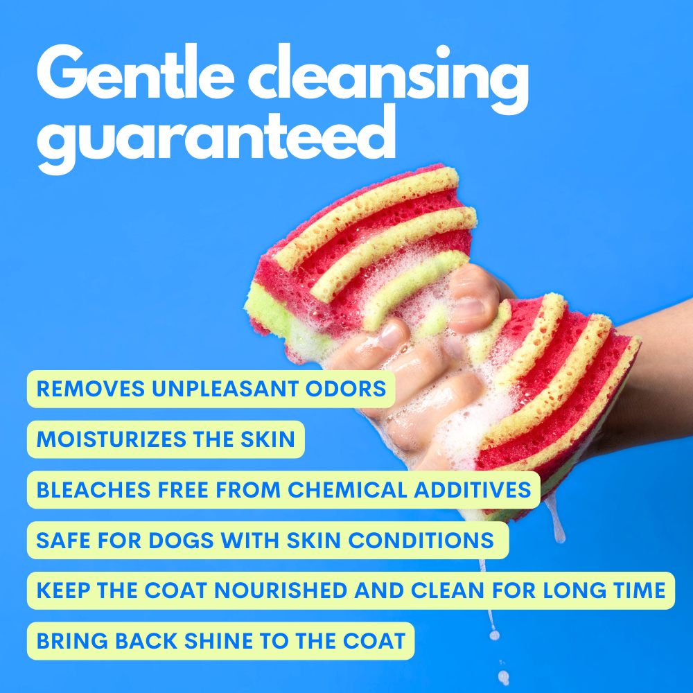 Hypoallergenic Dog Shampoo & Conditioner