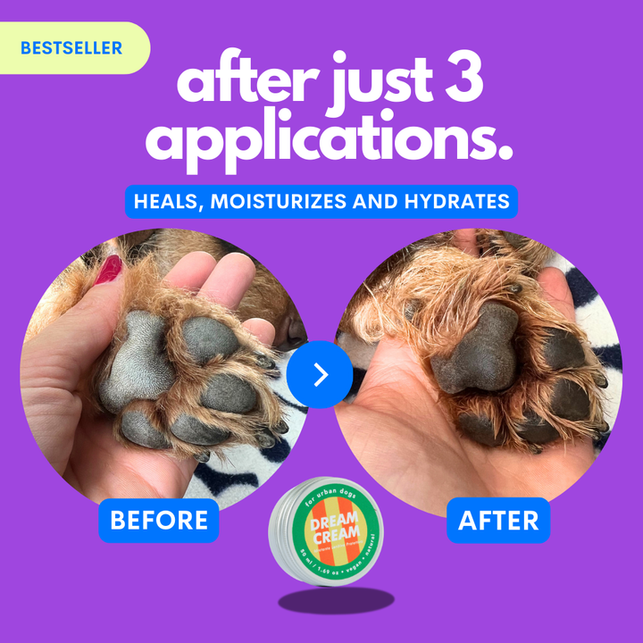 Dream Cream - Dog Nourishing Hydrating Multipurpose