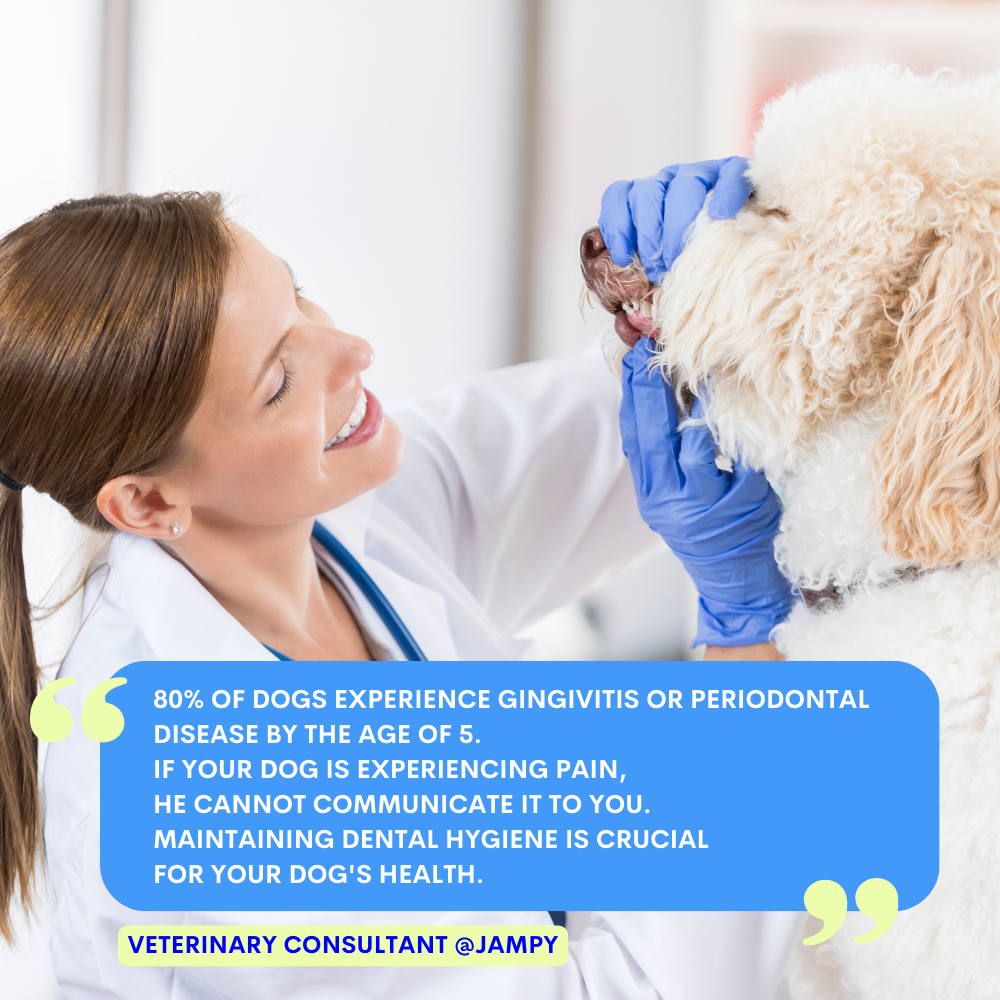 Kiss Me - Natural Dental Spray to Fight Halitosis for Dogs