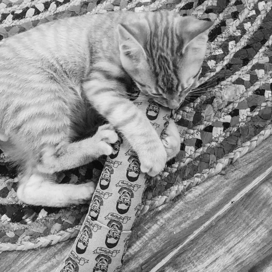 Cheshire and Alice Organic Catnip Cat Kicker