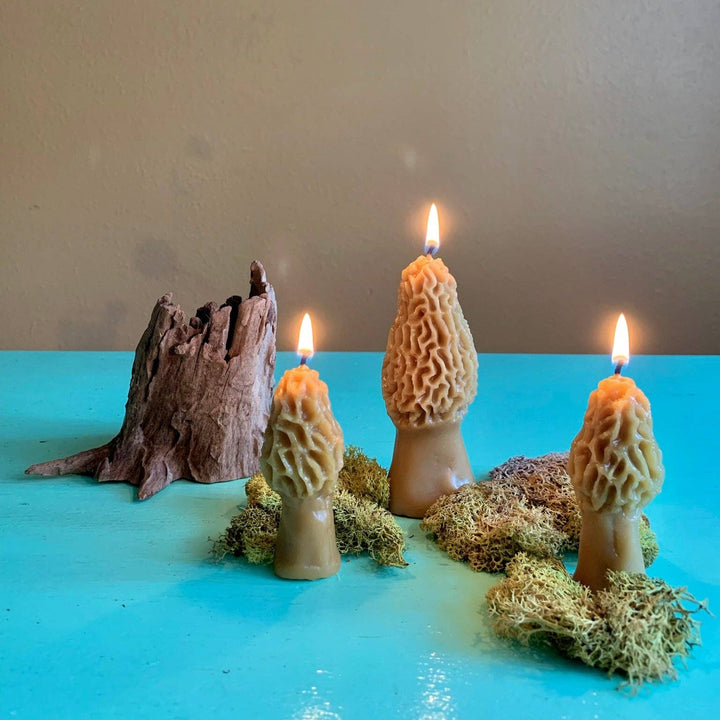 Morel Mushroom Beeswax Candle 2-pack