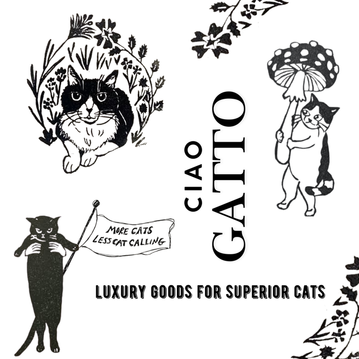 Frida’s Fungus Fields Organic Catnip Cat Kicker