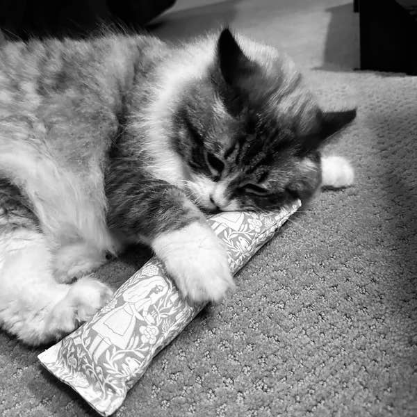 Cheshire and Alice Organic Catnip Cat Kicker