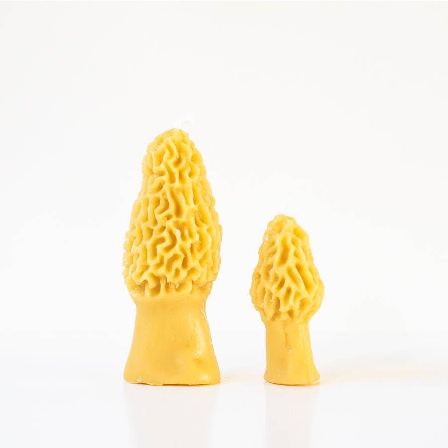 Morel Mushroom Beeswax Candle 2-pack
