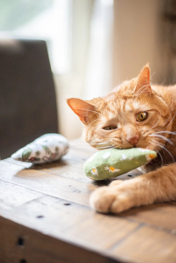 Planet B, Inc. Scrap Fabric Cat Toys